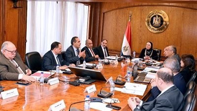 وزيرة الصناعة: حريصون على إعداد جيل من الشباب المؤهل للعمل في مجال التجارة الخارجية