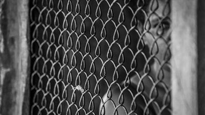 5 سبتمبر.. الحكم على أخطر عصابة للاتجار بالبشر بمدينة نصر