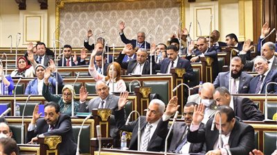 تحرك برلماني بشأن مخالفات بالشركة القابضة للصناعات الكيماوية