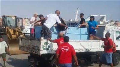 بعد 15 يومًا من التأهيل والعلاج.. إعادة الدولفين طيبة لمياه البحر بالغردقة