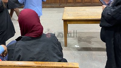 توفيق عكاشة يغيب عن جلسة محاكمة نجله