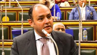 أول مطلب أمام وزير التجارة الجديد.. المستوردين تقترح السماح بتخزين الواردات وعدم تحويلها للمهمل