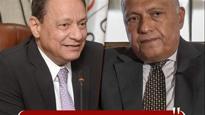 غدًا.. وزير الخارجية ورئيس الأعلى للإعلام يشهدان إطلاق أكبر برنامج لتدريب الإعلاميين الأفارقة