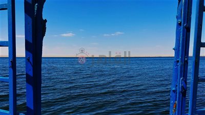 ارتفاع ملحوظ في درجات الحرارة.. تعرف على حالة الطقس اليوم بالفيوم