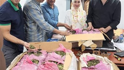 إحباط محاولة تهريب نبات القات المخدر بقرية الطرود بمطار القاهرة 