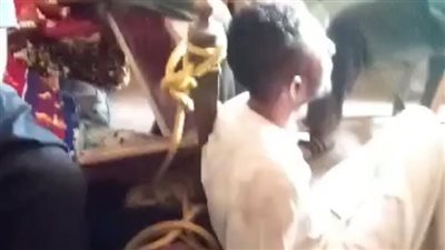 ربطوهم بالحبال وسلموهم للشرطة.. سقوط لصوص الموتوسيكلات في صفط الشرقية بالمنيا