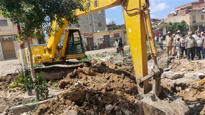 إزالة 72 حالة تعدٍ على الأراضي الزراعية في 12 مركزًا بالبحيرة 