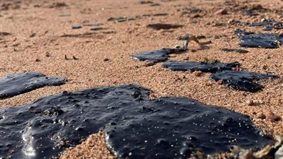 تحذيرات من بقع نفط في شاطئ دهب.. ومصدر: تشكيل لجنة من البيئة لفحص الأسباب