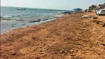 البيئة تعلن القضاء على البقع الزيتية عقب رصدها بشواطئ دهب 