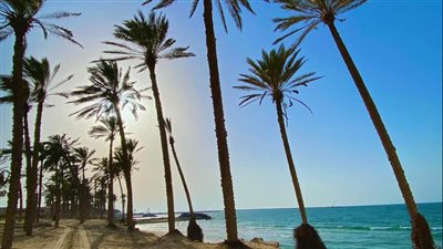 العظمى 33 درجة.. استقرار حالة الطقس بشمال سيناء اليوم