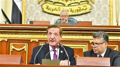 خطة النواب: إجمالي الاستثمارات يصل لـ 1.4 تريليون جنيه.. ونحتاج معدل نمو ضعف الزيادة السكانية