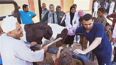 تحصين 55 ألف رأس ماشية ضد الحمى القلاعية والوادي المتصدع بأسيوط