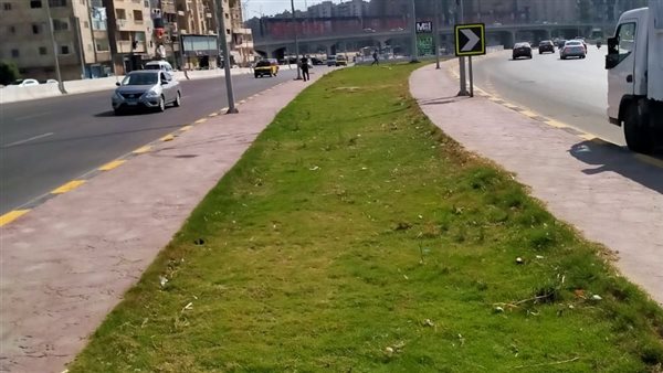 زيادة المساحات الخضراء