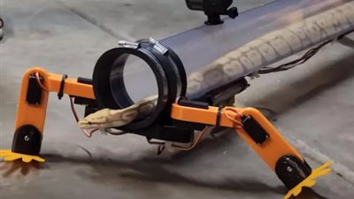 اختراع مرعب.. مهندس يصنع أرجلاً آلية للثعابين لتتمكن من المشي على الأقدام 