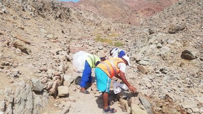 البيئة تنظم حملة مكبرة لحماية النظم البيئية بمحمية أبو جالوم | صور 