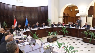 الأعلى للجامعات: الموافقة على إنشاء جامعة عين شمس الأهلية