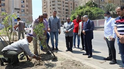 محافظ المنيا يشهد زراعة عدد من الأشجار بحي جنوب المدينة
