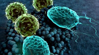 بعد وفاة طفل.. كيف تنتقل الأميبا الآكلة للدماغ إلى جسم الإنسان؟