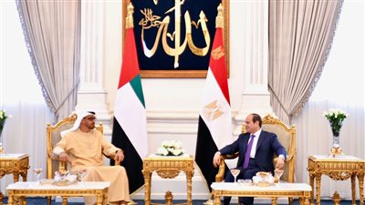 السيسي وبن زايد يشددان على أهمية تعزيز العمل العربي المشترك لمواجهة تحديات المنطقة