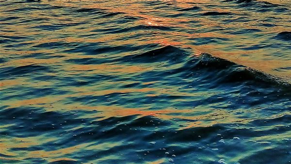 الفيوم.. تصوير: إيمان