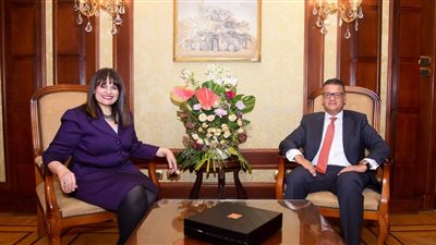 الهجرة: تشكيل مجموعة عمل مشتركة مع النواب بشأن تحديات المصريين بالخارج في ملف حقوق الإنسان