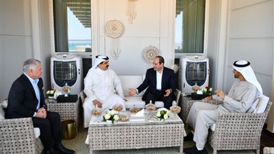 الرئاسة الإماراتية: القادة المشاركون في لقاء العلمين أكدوا دعم كل الجهود لترسيخ أسس السلام والتعاون