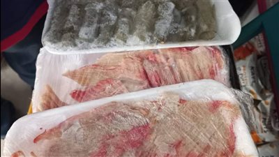 تموين بورسعيد: ضبط لحوم ودواجن وبهارات مجهولة المصدر | صور 