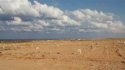 مجلس الوزراء يخصص قطعتي أرض في محافظة قنا بالمجان لصالح مشروعي نفع عام 