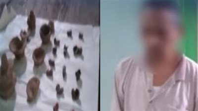 بحوزته 22 قطعه أثرية.. حبس بائع 4 أيام احتياطيًا بتهمة التنقيب عن الآثار بسوهاج | صور