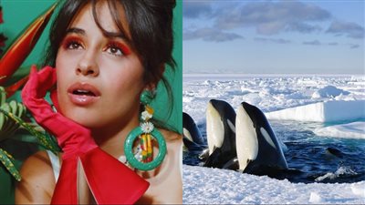 بـ مشاركة كاميلا كابيو.. طرح البرومو الدعائي لـ فيلم Frozen Planet