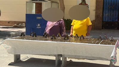 إحباط محاولة تهريب 240 طربة مخدر الحشيش بـ 1.7 مليون جنيه بالغربية