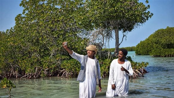 شواطئ حلايب وشلاتين