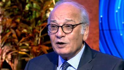 محافظ البنك المركزي الأسبق: التضخم في مصر مؤقت.. ويجب طرده بهدوء عن طريق الانكماش