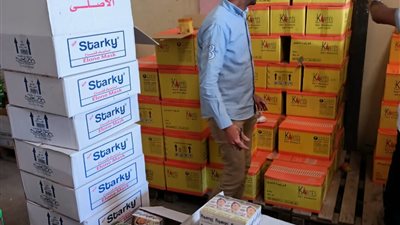 ضبط قطع غيار وإكسسوارات سيارات ومستحضرات تجميل مجهولة المصدر بالإسكندرية