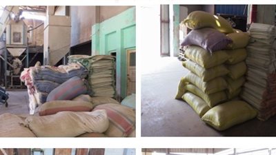 ضبط 6 مصانع مخالفة تعمل بدون ترخيص في حملة مكبرة بالمنوفية |صور 