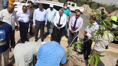 تفعيلا للمبادرة الرئاسية لزراعة 100 مليون شجرة.. محافظ المنيا يعقد اجتماعا تنسيقيا لدراسة آلية زراعة الأشجار بجميع المراكز 