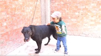 محمد الصغير يشكو من قلة عمله بالفن: معنديش مصدر دخل والمنتجين نسيوني