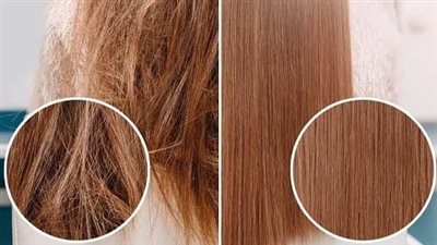 وصفات للشعر الهايش.. 5 ماسكات مرطبة بخلطات منزلية وزيوت طبيعية