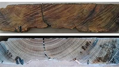 بعد دراسة لـ 18 عامًا..تم التعرف على حطام سفينة غامضة بالساحل الأرجنتيني |صور