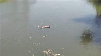 مصرع طفلة غرقًا خلال اللعب أمام منزل أهليتها بكفر الشيخ 