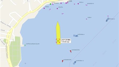 تحمل علم بنما.. سفينة نقل حبوب أوكرانية تتسبب في توقف حركة الملاحة بمضيق البوسفور |صور