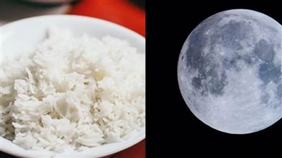 الصين تنجح في زراعة الأرز بالفضاء