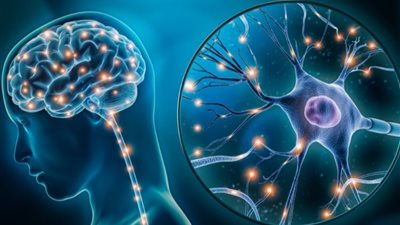  أبرزها اصطدام الرأس.. تعرف على أسباب تلف الدماغ 