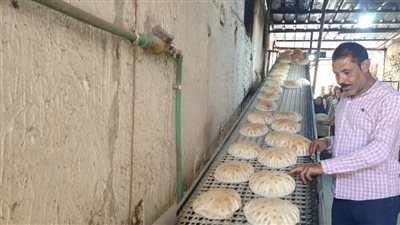 ضبط لحوم غير صالحة للاستهلاك الآدمي و4 مخابز تصرفوا في 501 شكارة دقيق مدعم بالبحيرة