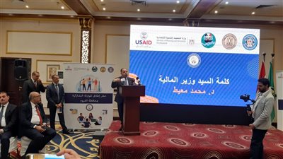 وزير المالية: 35 مليار دولار استثمارات أجنبية خرجت من مصر منذ أزمة كورونا