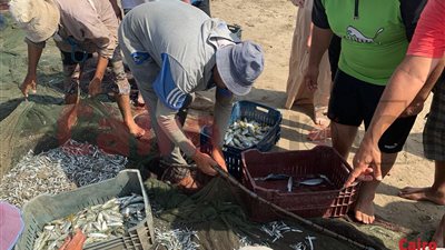 توافد المصطافين على شواطئ الإسكندرية.. ولحظة خروج شباك الأسماك ببورسعيد|بث مباشر 