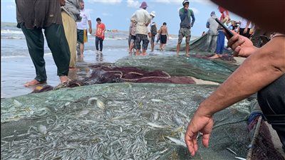سمك في مياه.. رحلة الصيادين للبحث عن الرزق على شاطئ بورسعيد | صور وفيديو