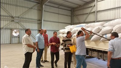 محافظ كفر الشيخ: جاهزية 21 موقعا لاستلام الأرز بمدن ومراكز المحافظة
