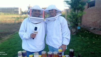 بالشطة والشوكولاتة.. مهندس بالمنوفية يبتكر أنواع جديدة لعسل النحل تنافس الصناعات العالمية