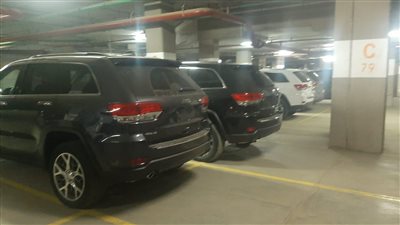 بعد أزمة عز العرب.. خبير: بعض وكلاء السيارات يخفونها لتعطيش السوق ورفع الأسعار